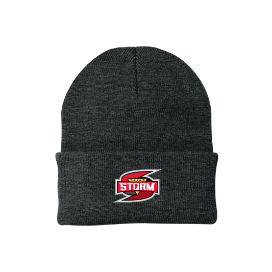 Triad Alliance Knit Cap